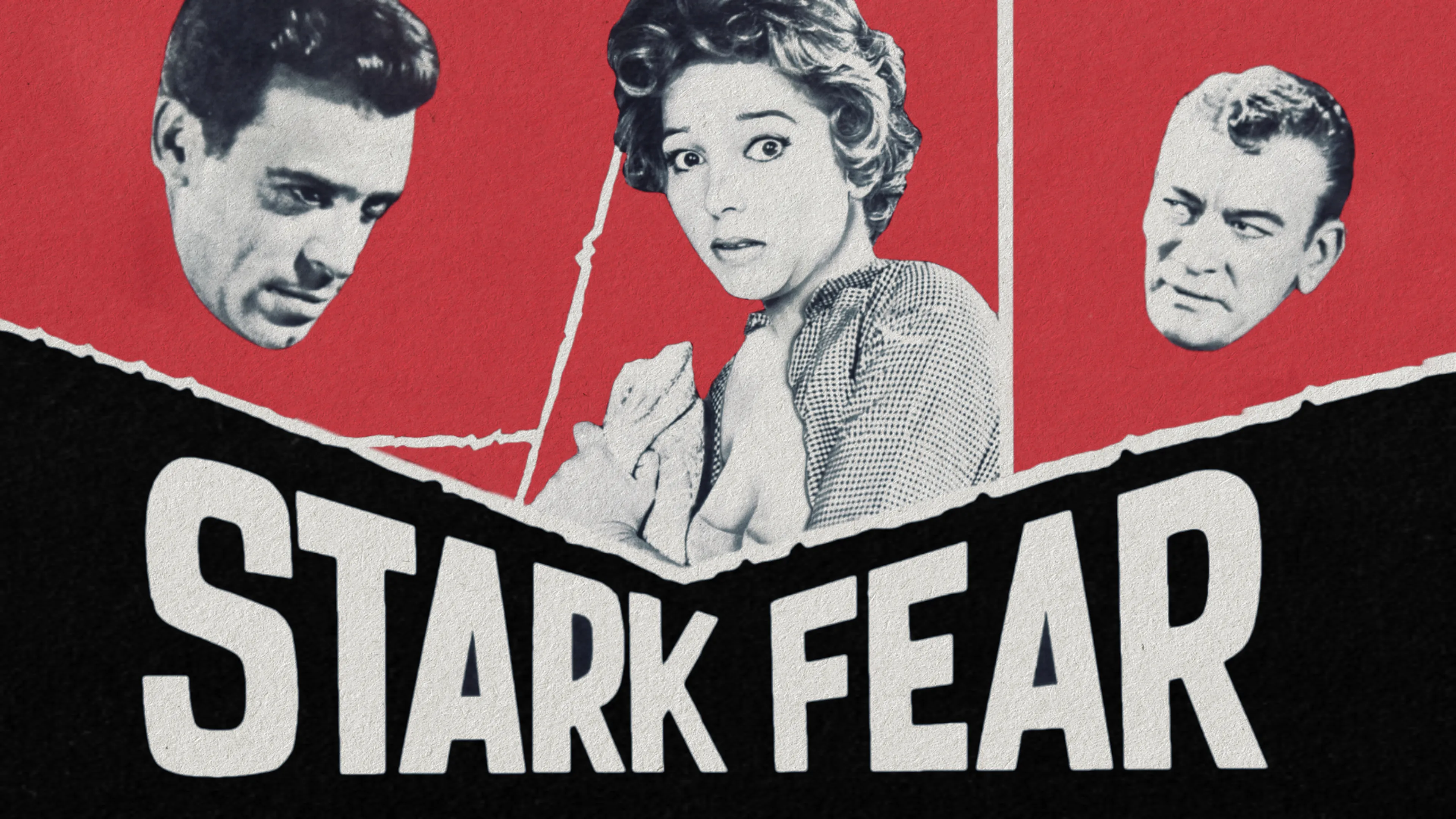 Stark Fear poster
